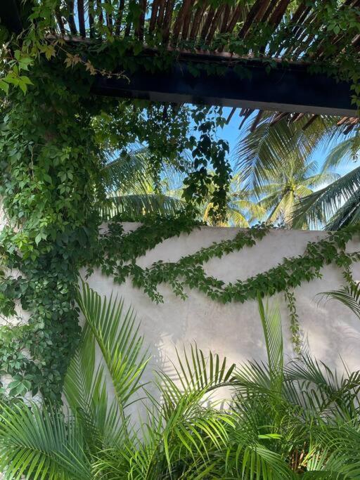 Casa Tulup Sisal Villa Ngoại thất bức ảnh